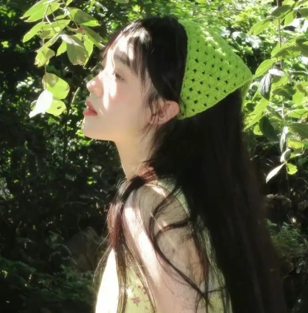 香椿