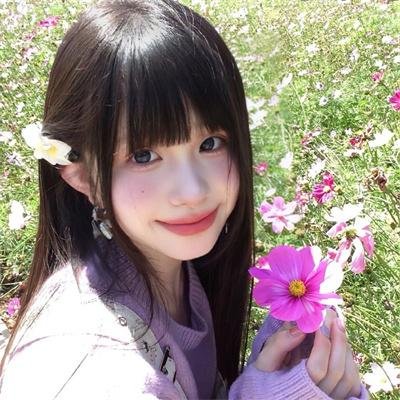 忍者收藏